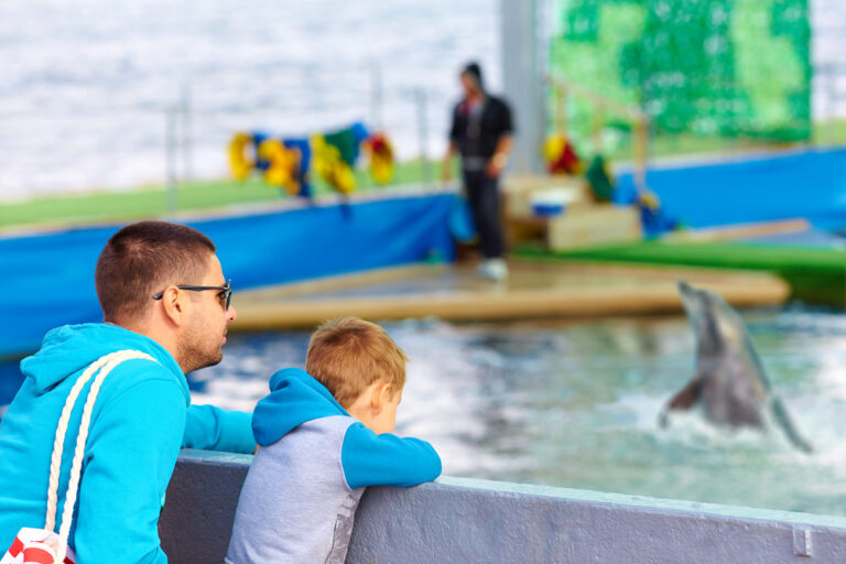 Captivating Animal Shows