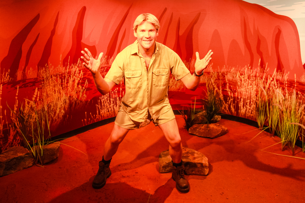 Steve Irwin’s Legacy: Crikey, What a Life!